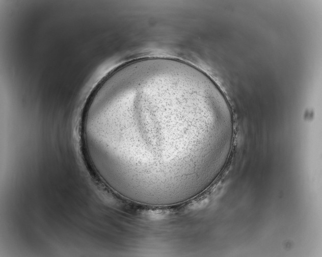 X0000102360103200808151822