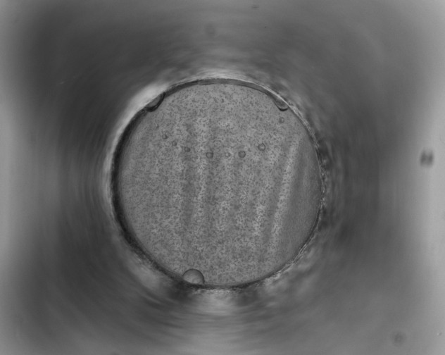 X0000102360104200808151822