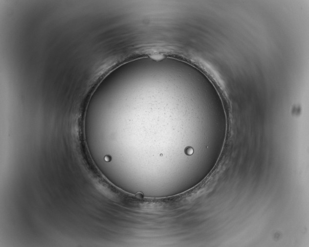 X0000102360105200808151821