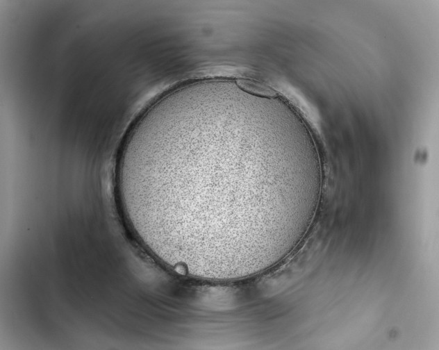 X0000102360107200808151821