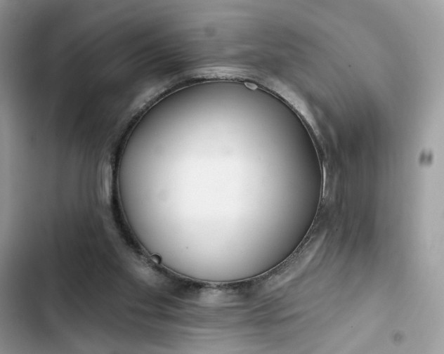 X0000102360109200808151821