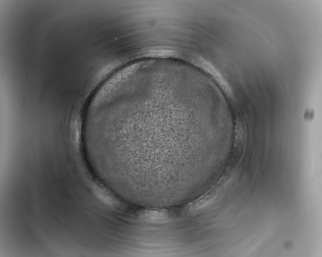 X0000102360110200808151821