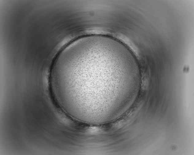 X0000102360111200808151821