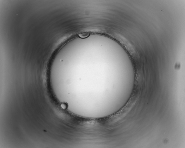 X0000102360112200808151821