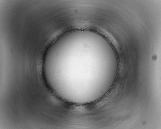 X0000102360113200808151821