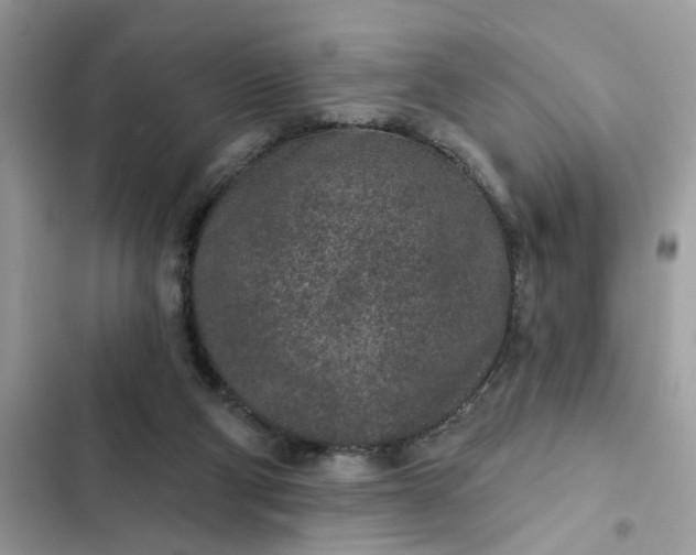 X0000102360114200808151821