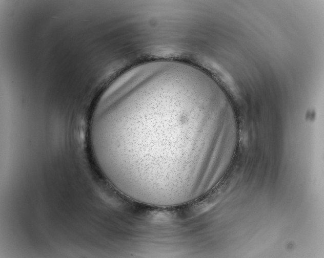 X0000102360115200808151821