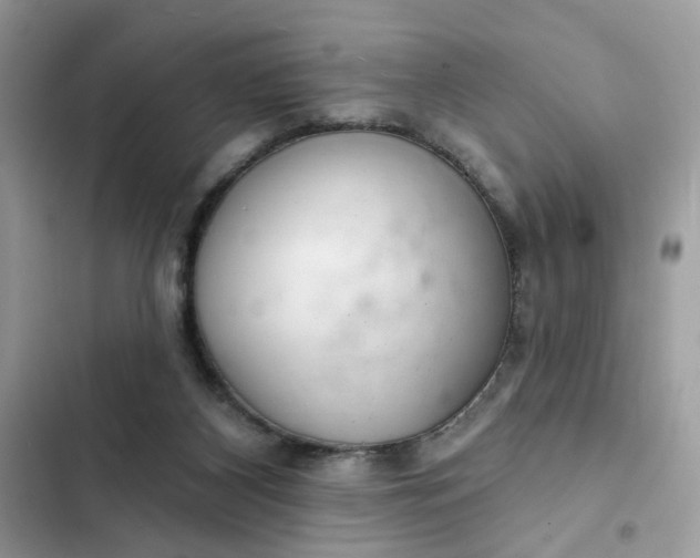 X0000102360116200808151821