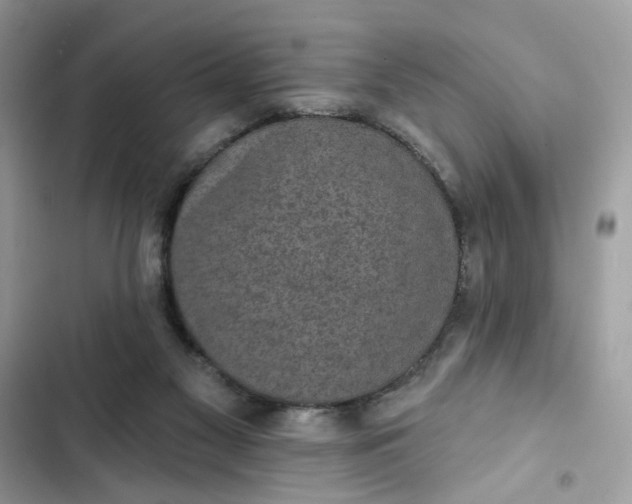 X0000102360117200808151821