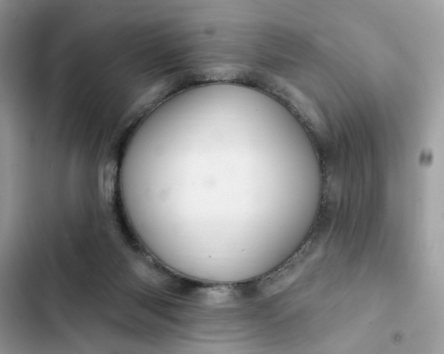 X0000102360118200808151821