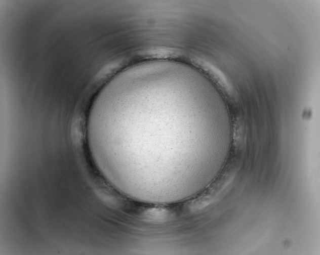 X0000102360119200808151821