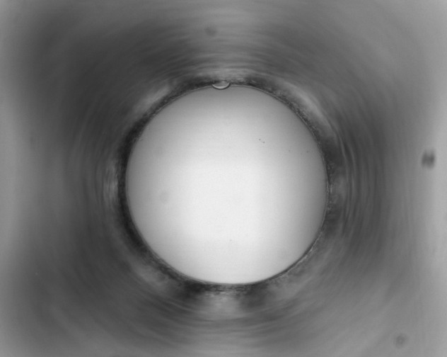 X0000102360120200808151821