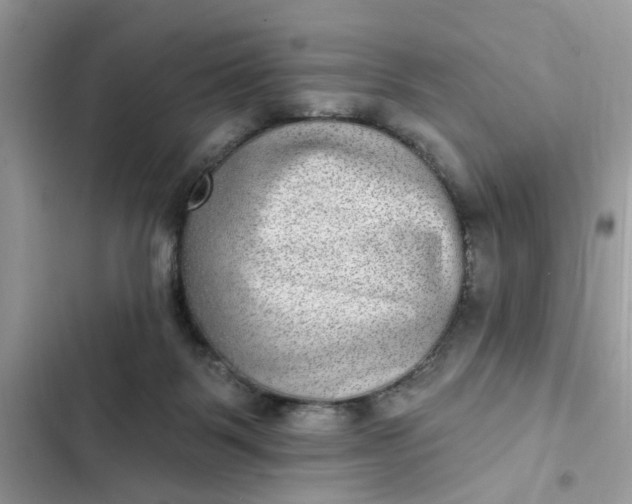 X0000102360123200808151821