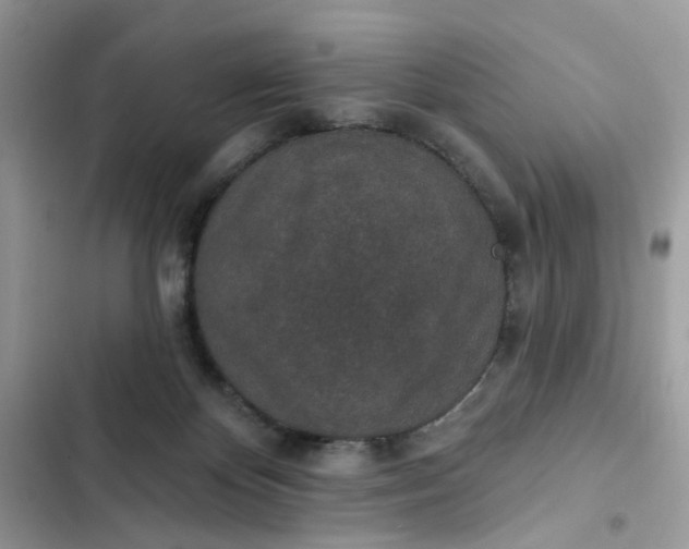 X0000102360124200808151821