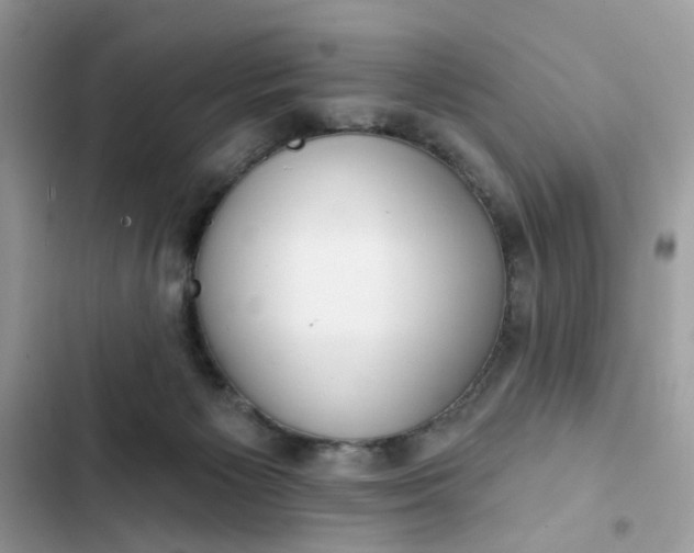 X0000102360125200808151821