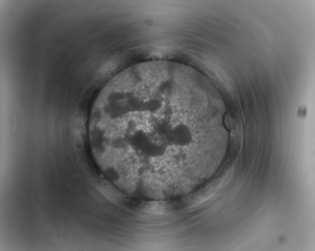 X0000102360127200808151821