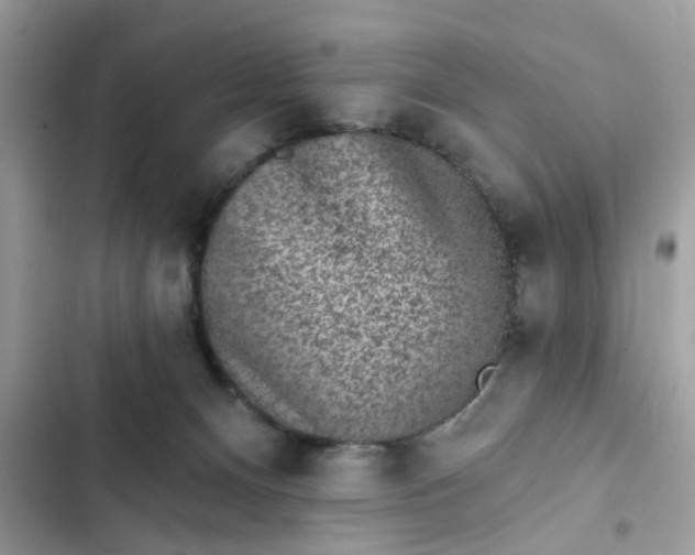 X0000102360128200808151821