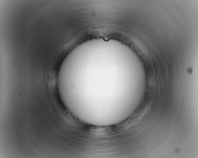 X0000102360129200808151821