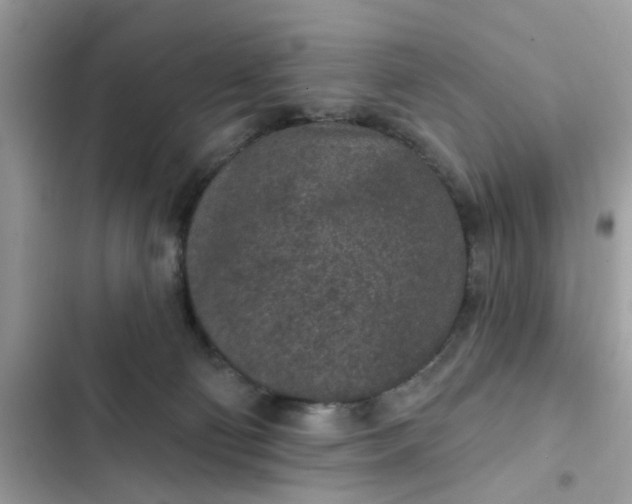 X0000102360130200808151821