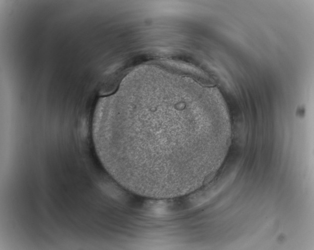 X0000102360131200808151821