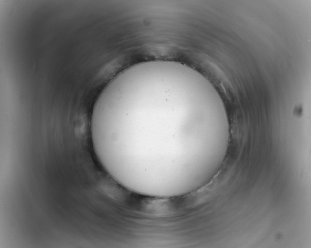 X0000102360132200808151821