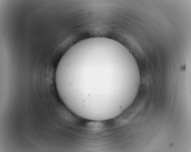 X0000102360133200808151821