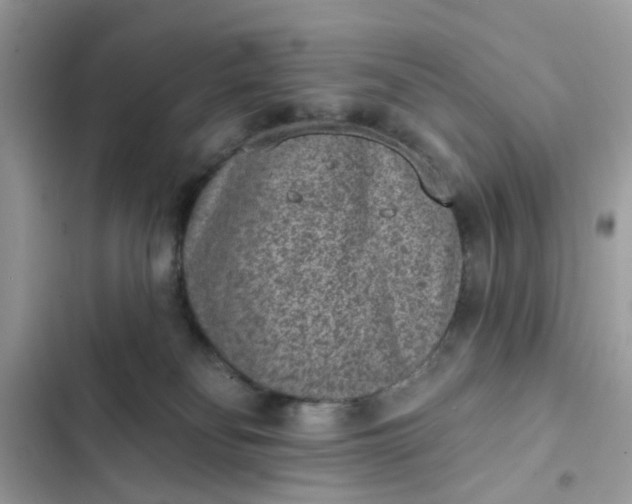 X0000102360134200808151821