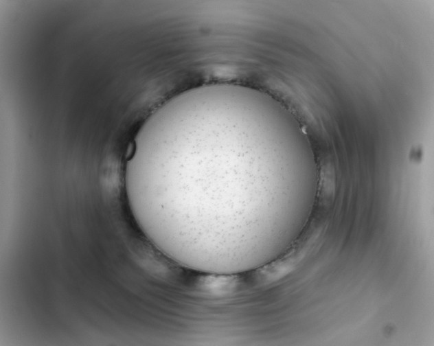 X0000102360135200808151821