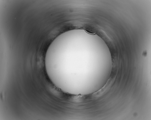 X0000102360136200808151821