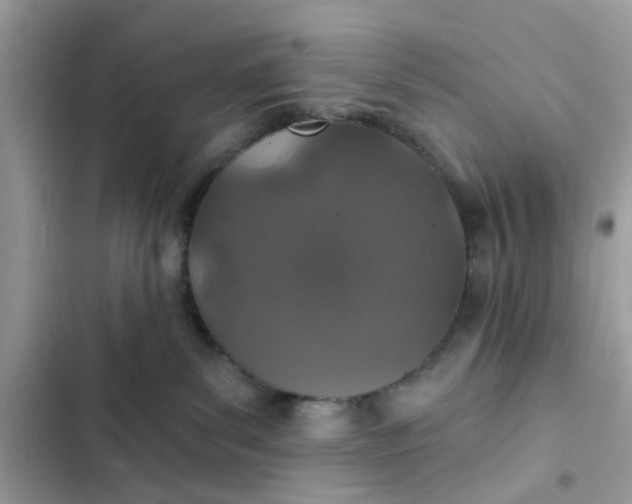 X0000102360139200808151821