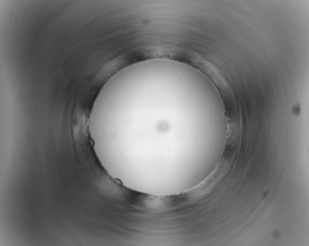 X0000102360142200808151821