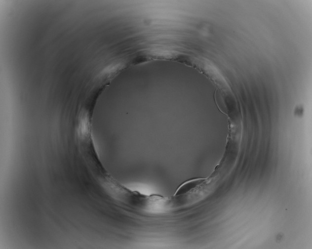 X0000102360143200808151821