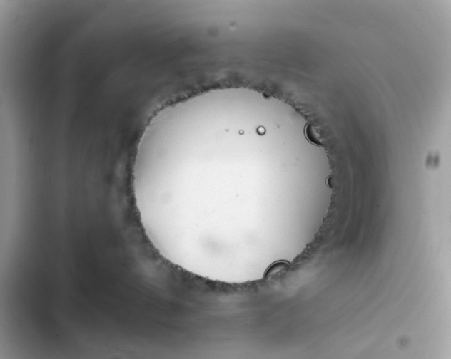 X0000102360144200808151821