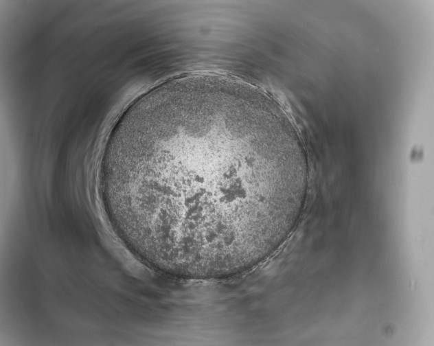 X0000102360145200808151820