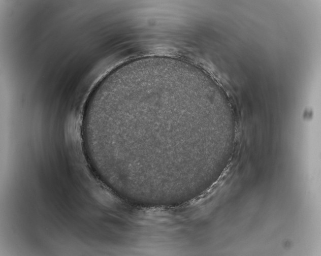 X0000102360146200808151820