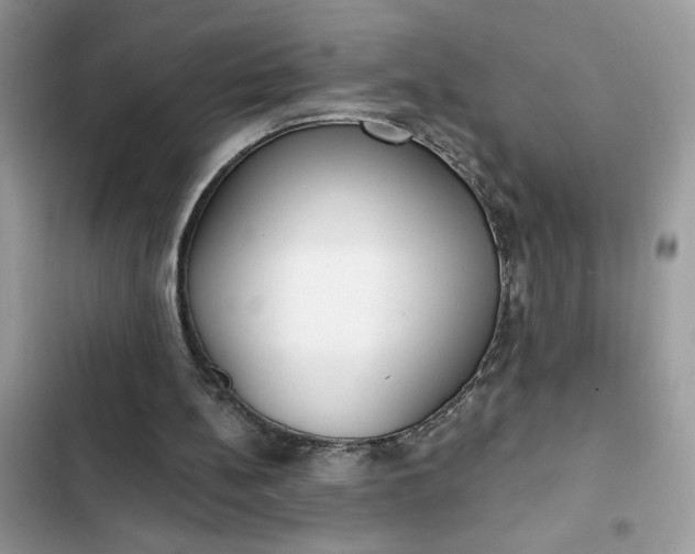 X0000102360148200808151820