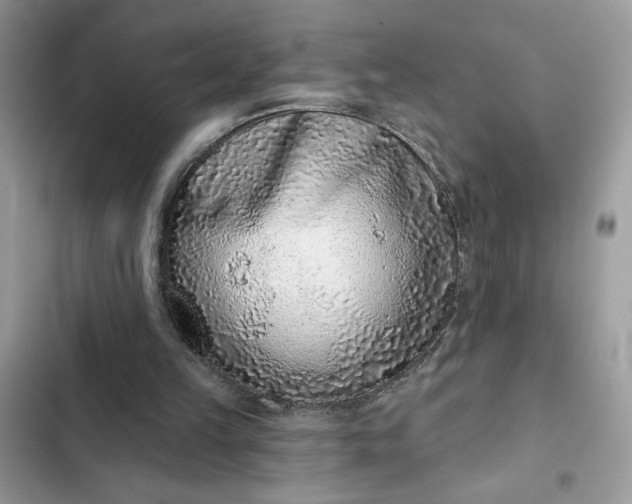 X0000102360149200808151820