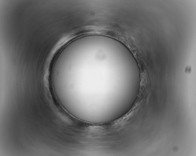 X0000102360150200808151820