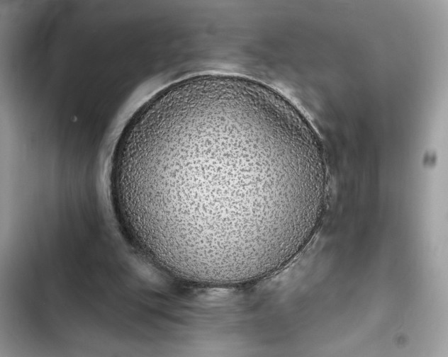 X0000102360151200808151820