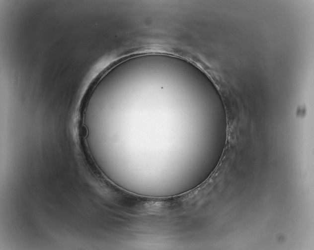 X0000102360152200808151820