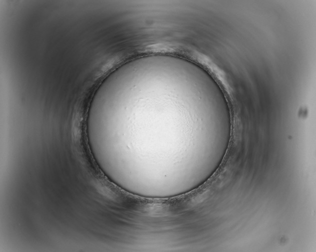 X0000102360153200808151820