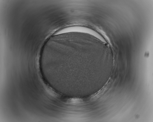 X0000102360154200808151820