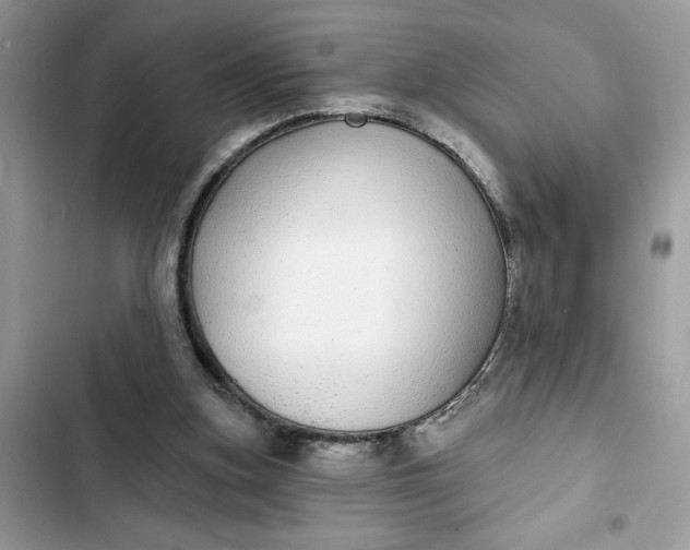 X0000102360155200808151820