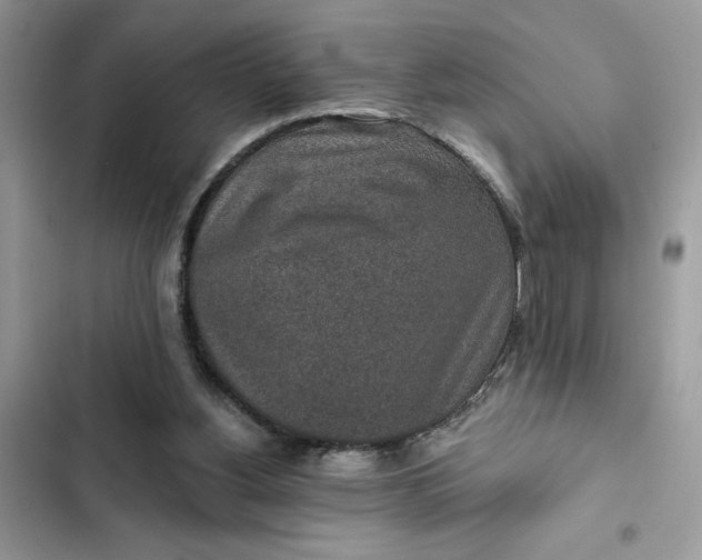 X0000102360156200808151820