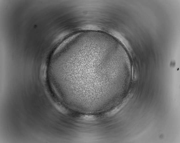 X0000102360157200808151820