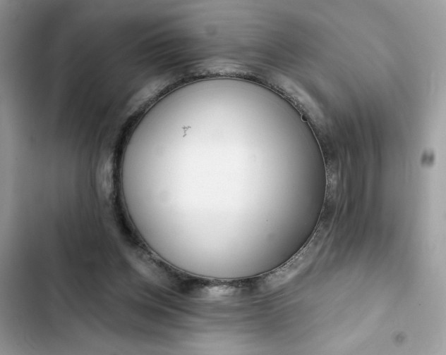 X0000102360158200808151820