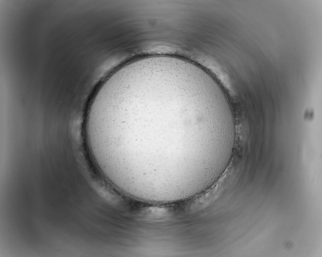 X0000102360159200808151820