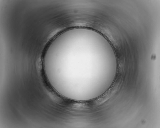 X0000102360160200808151820