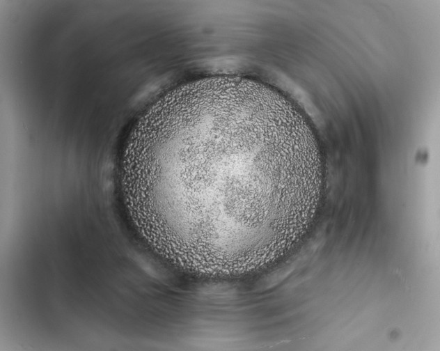 X0000102360161200808151821