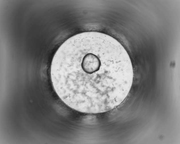 X0000102360162200808151821